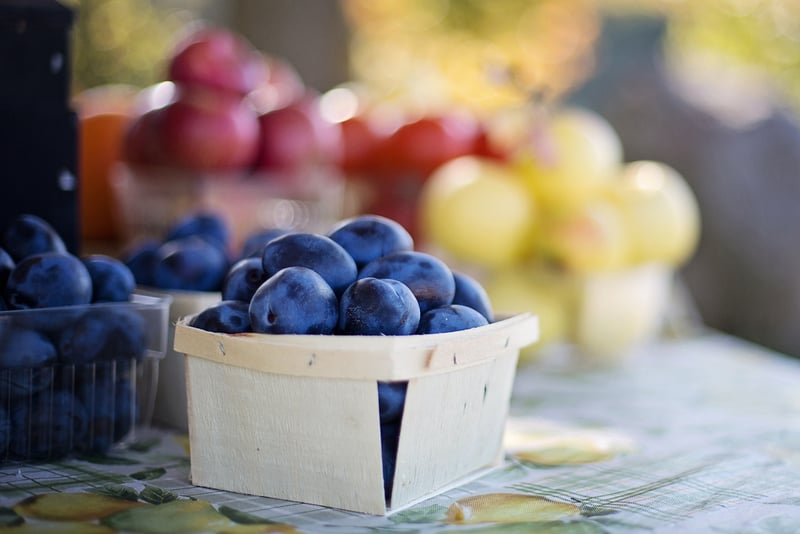 Farm-to-Table Tours